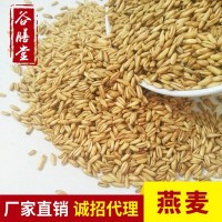 供应批发 低温烘焙 熟燕麦 现磨豆浆原料 500克3.3元