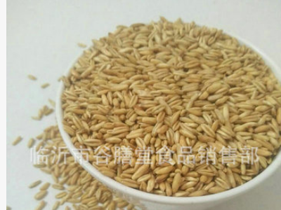 供应批发 低温烘焙 熟燕麦 现磨豆浆原料 500克3.3元图4