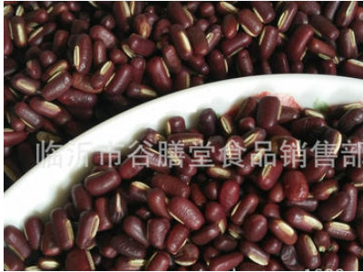 供应 低温烘焙 优质熟赤小豆 500克6.6元 现磨豆浆、养生坊原料图3