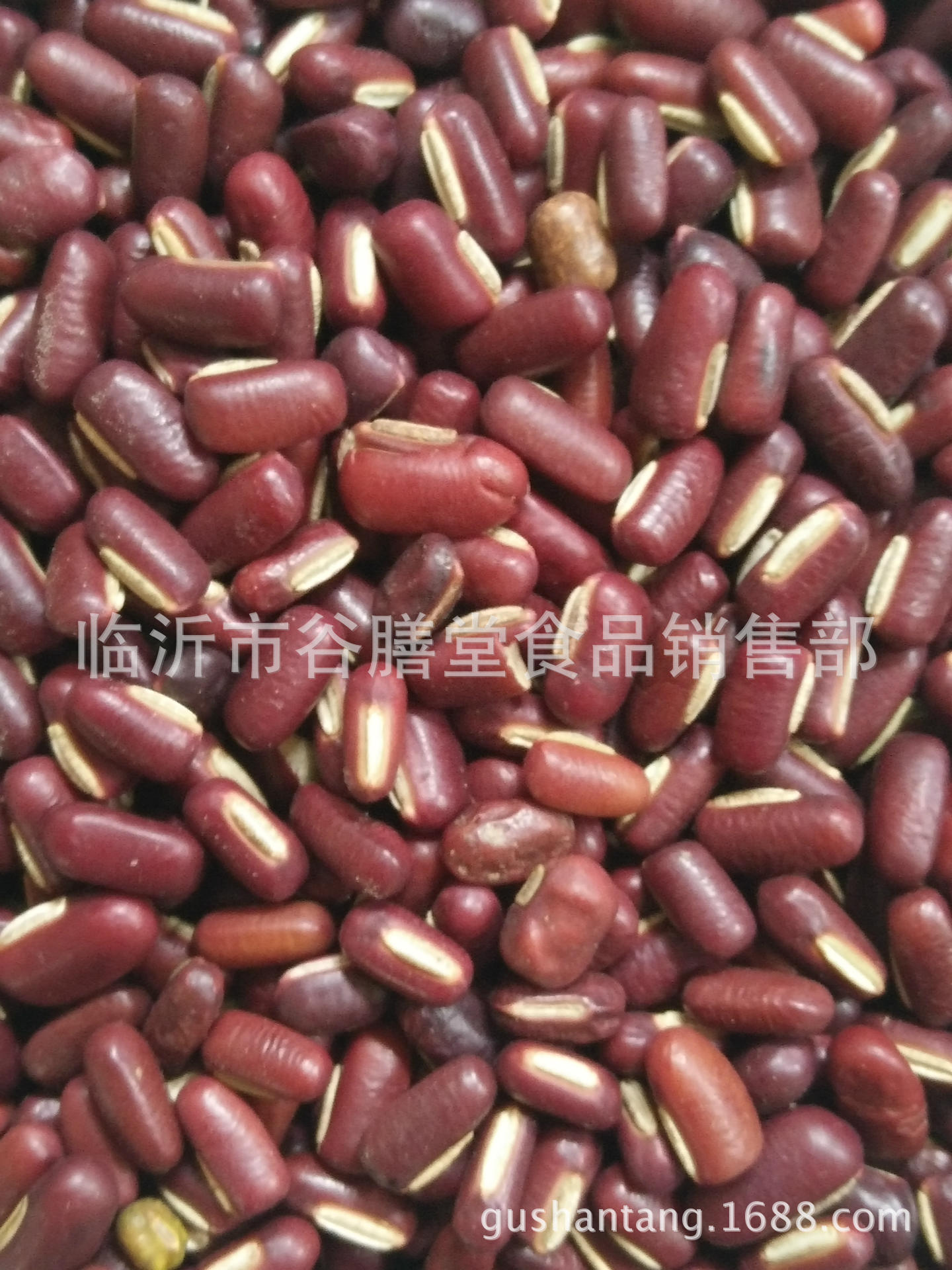 赤小豆1