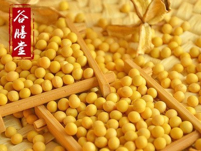 低温烘焙 熟黄豆 现磨豆浆原料 证照齐全 吨价8000元图5