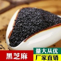现货供应生黑芝麻 脂麻 胡麻 新货 烘培原件含油量高