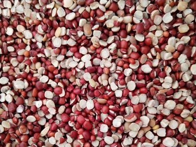 现货供应红小豆半 红小豆瓣粒 磨粉五谷杂粮红小豆食品厂专用图3