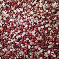 现货供应红小豆半 红小豆瓣粒 磨粉五谷杂粮红小豆食品厂专用