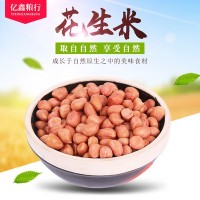 现货供应白沙花生米 山东花生米生 五谷杂粮粗粮花生米 量大从优
