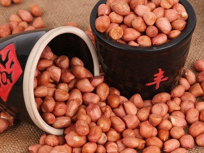 现货供应白沙花生米 山东花生米生 五谷杂粮粗粮花生米 量大从优图3