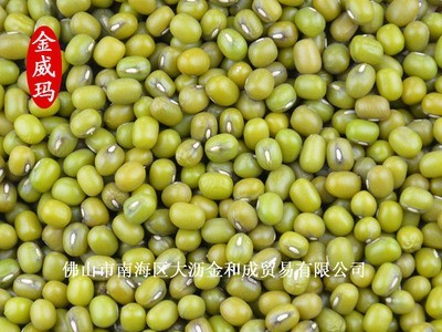 金威玛特选柔糯细腻东北洮南绿豆 整装批发颗粒饱满东北绿豆图4