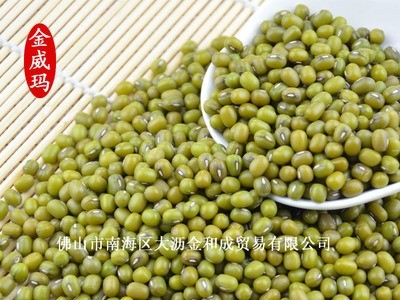 金威玛特选柔糯细腻东北洮南绿豆 整装批发颗粒饱满东北绿豆图3