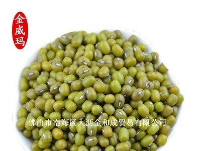 金威玛特选柔糯细腻东北洮南绿豆 整装批发颗粒饱满东北绿豆图5