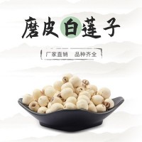 低温烘焙五谷杂粮 批发五谷豆浆取芯心湘莲磨粉 熟磨皮白莲子