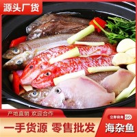 鲜活海杂鱼渔船 批发 冷冻深海鲜海鱼拼盘商用酒店餐饮供应