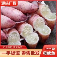 母鱿鱼批发 带籽母管鱿鱼冷冻笔管膏鱿海鲜水产餐厅酒店供应