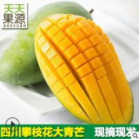 产地直供 四川攀枝花大青芒9斤装大金煌芒当季水果批发非凯特芒