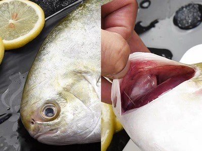 新鲜深海金昌鱼 金鲳鱼批发 船冻金昌鱼 金鲳鱼批发销售图4