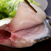 新鲜深海金昌鱼 金鲳鱼批发 船冻金昌鱼 金鲳鱼批发销售