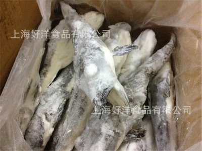冰鱼 南极冰鱼 冰鱼 各种规格图3
