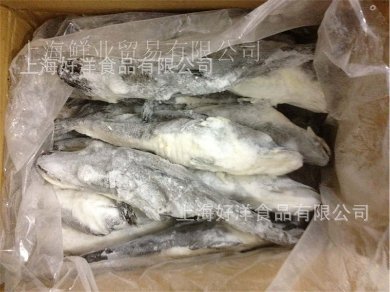 606E92DC3225EAAE30E2FBC3EDC0E3