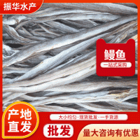 干制鳗鱼 批发水产微盐海鲜干制水产品干鳗鱼