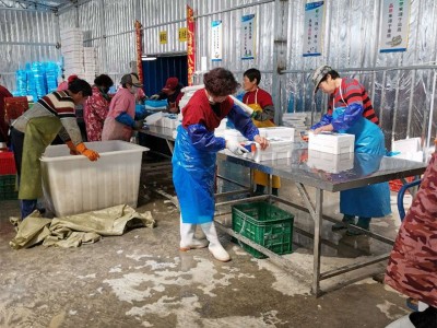 生蚝批发社团团购小箱5斤装可装货乳山牡蛎鲜活海鲜批发1图5