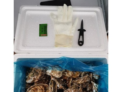 生蚝批发社团团购小箱5斤装可装货乳山牡蛎鲜活海鲜批发1图3