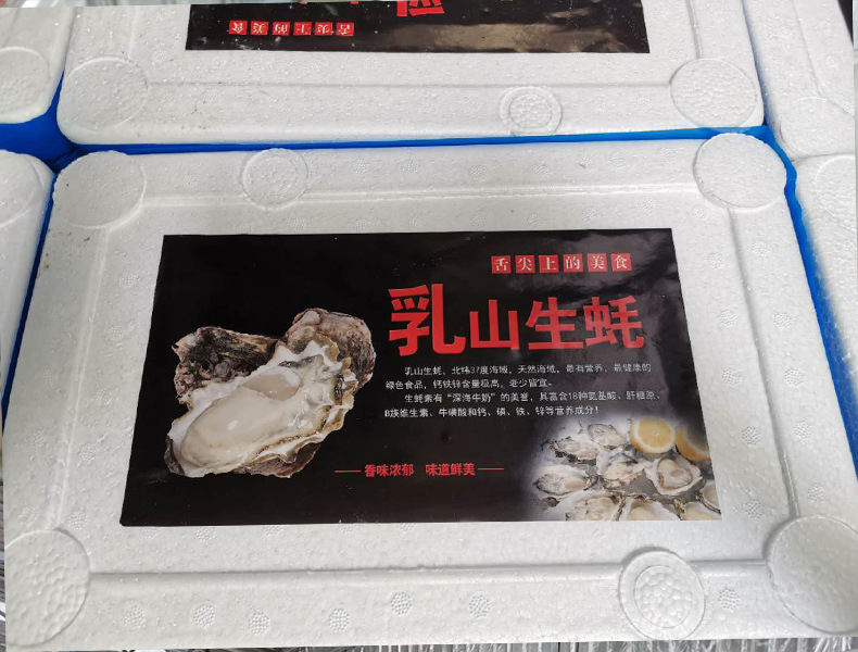 未标题-1_02