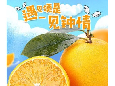 【超甜】湖南麻阳冰糖橙当季新鲜甜橙子水果非夏橙脐橙10斤包邮图5