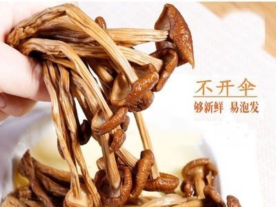 不开伞茶树菇农家自产茶薪菇炖罐烫煲菌类干货食材2斤批发包邮图5
