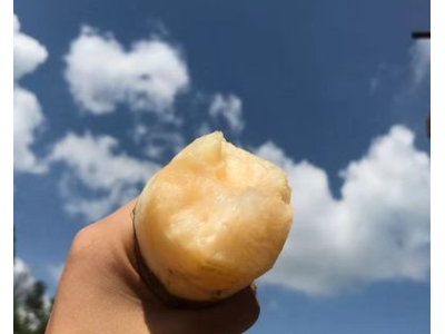 天山雪莲果云南红泥雪莲果新鲜应季水果非萝卜马蹄带箱10斤包邮图5