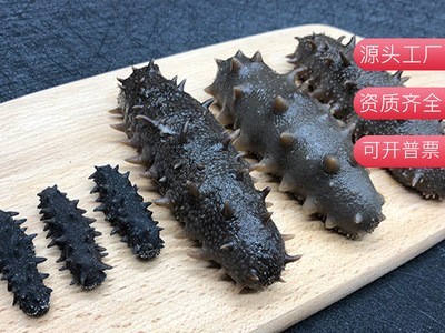 厂家供应淡晒辽参 批发现货淡晒辽参一手货源一件代发图2