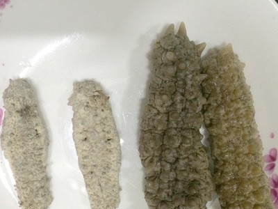 黄玉参 水产海参干货 淡干 海鲜干货 一件代发海鲜食用农产品图5
