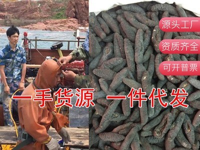土耳其参米刺参海参泡发量大一件代发海鲜食用农产品图3