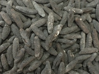 土耳其参米刺参海参泡发量大一件代发海鲜食用农产品图2