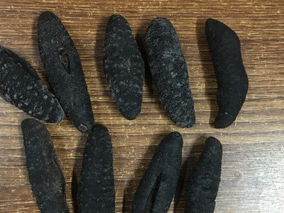 土耳其参米刺参海参泡发量大一件代发海鲜食用农产品图4