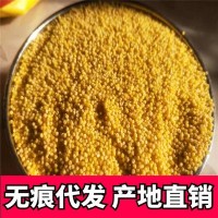 山西小米沁州黄5斤月子米黄小米