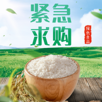 招募优质大米、各类杂粮等4个品类的供应商