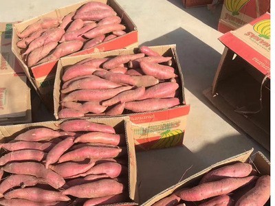 网红食品批发山东烟台斤10斤装蜜薯红薯地瓜 烟薯25图2