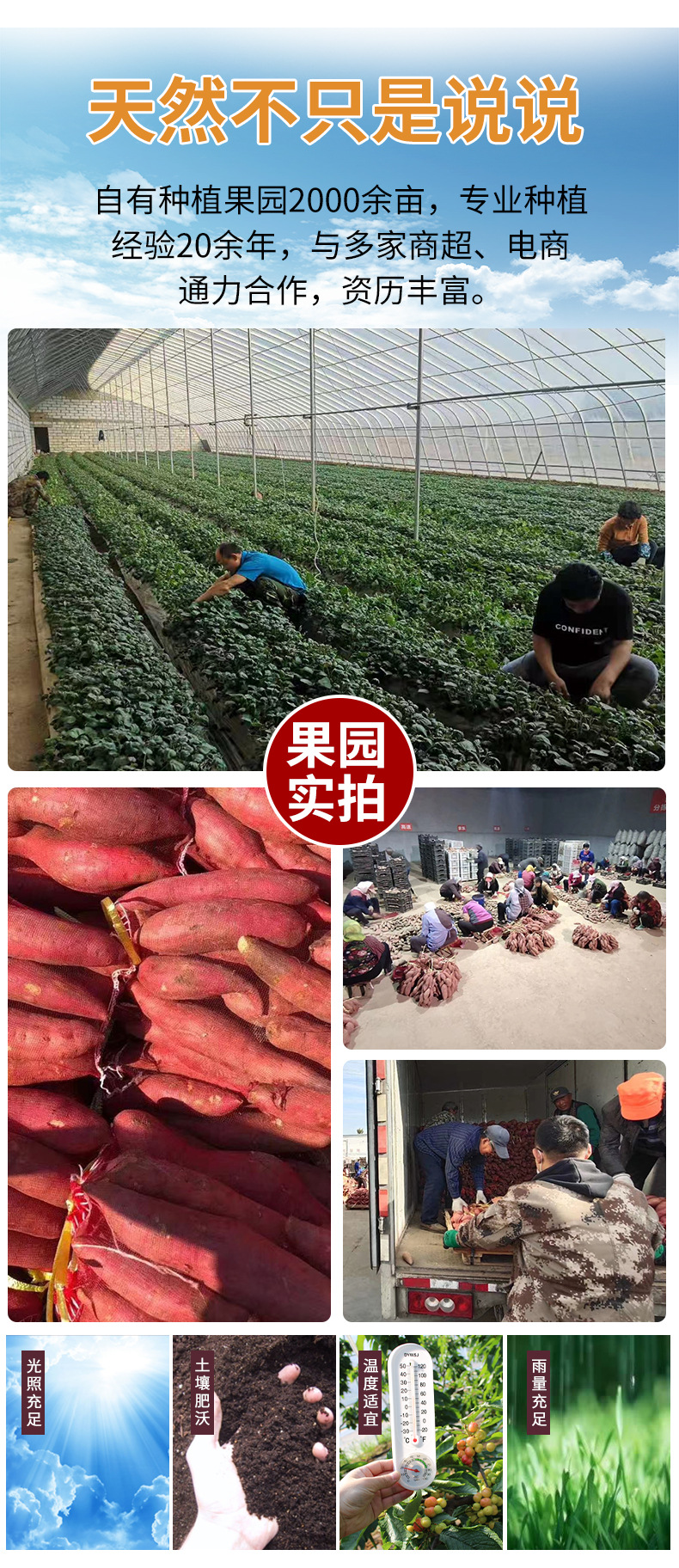 详情_03