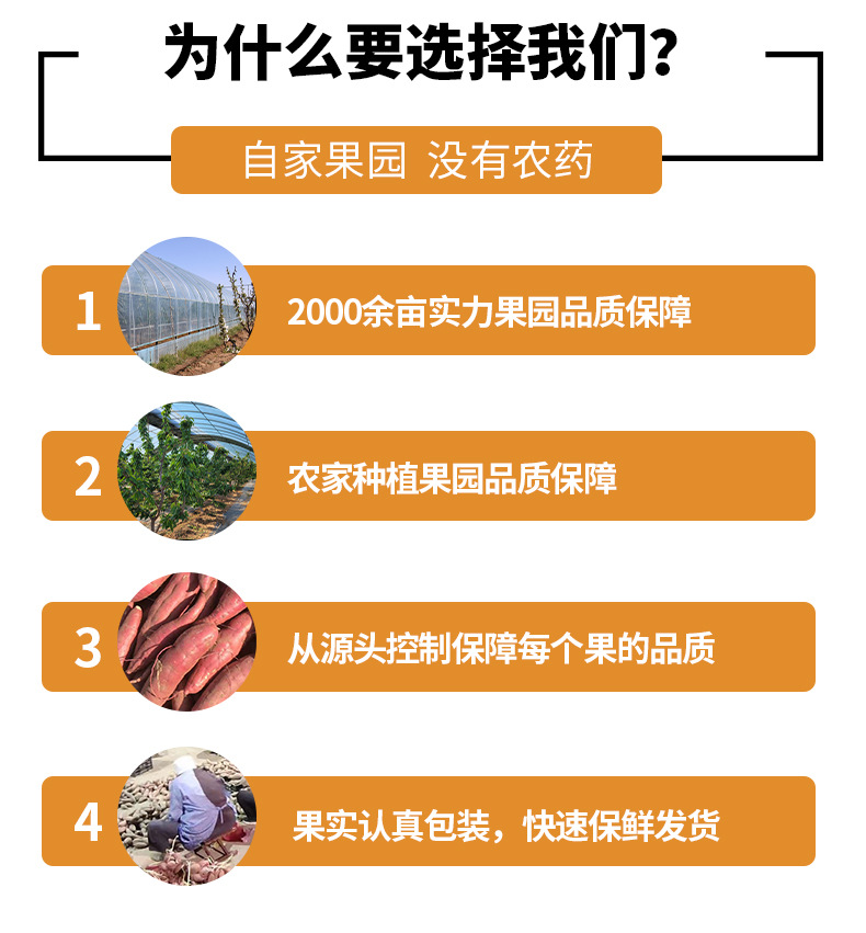 详情_04