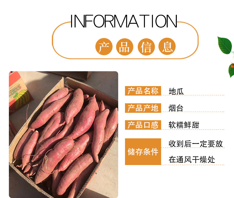 详情_02