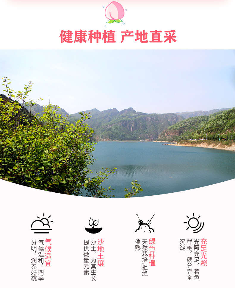 水蜜桃详情_06