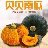陕西真贝贝南瓜板栗南瓜非山东贝贝 香甜粉糯小南瓜一件代发