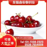 常年供应车厘子 新鲜水果质优价廉品种多样发货及时 美早樱桃
