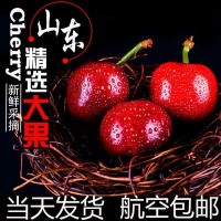 山东大樱桃车厘子国产美早新鲜孕妇水果现摘现发当季整箱批发