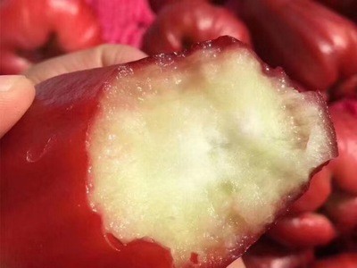 蜜蜂玲莲雾礼盒装12斤全国包邮图3