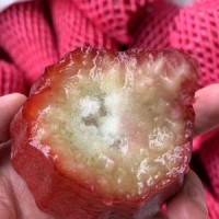 蜜蜂玲莲雾礼盒装12斤全国包邮