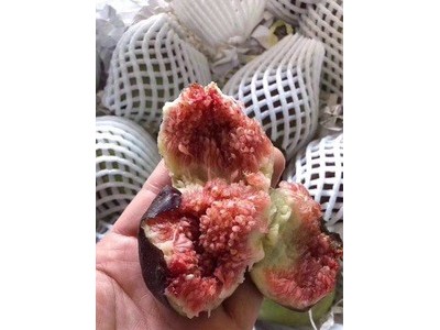 无花果顺丰包邮3斤装图2