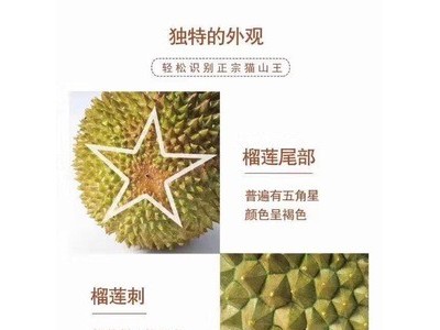 空运老树猫山王榴莲一个约4斤批发一件代发图5