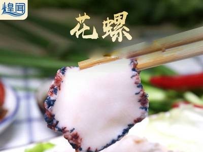 福建花螺切片500g 海鲜水产速冻螺片酒店家用餐饮生鲜食材海螺片图4