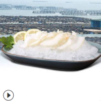 海鲜水产 贝类海螺片500g装 餐饮酒店宴席冷冻食材 厂家现货批发