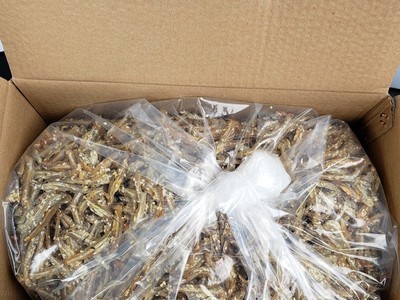 批发原味银鱼仔海鲜零食小吃鱼干食品10斤/箱 北海特产图5